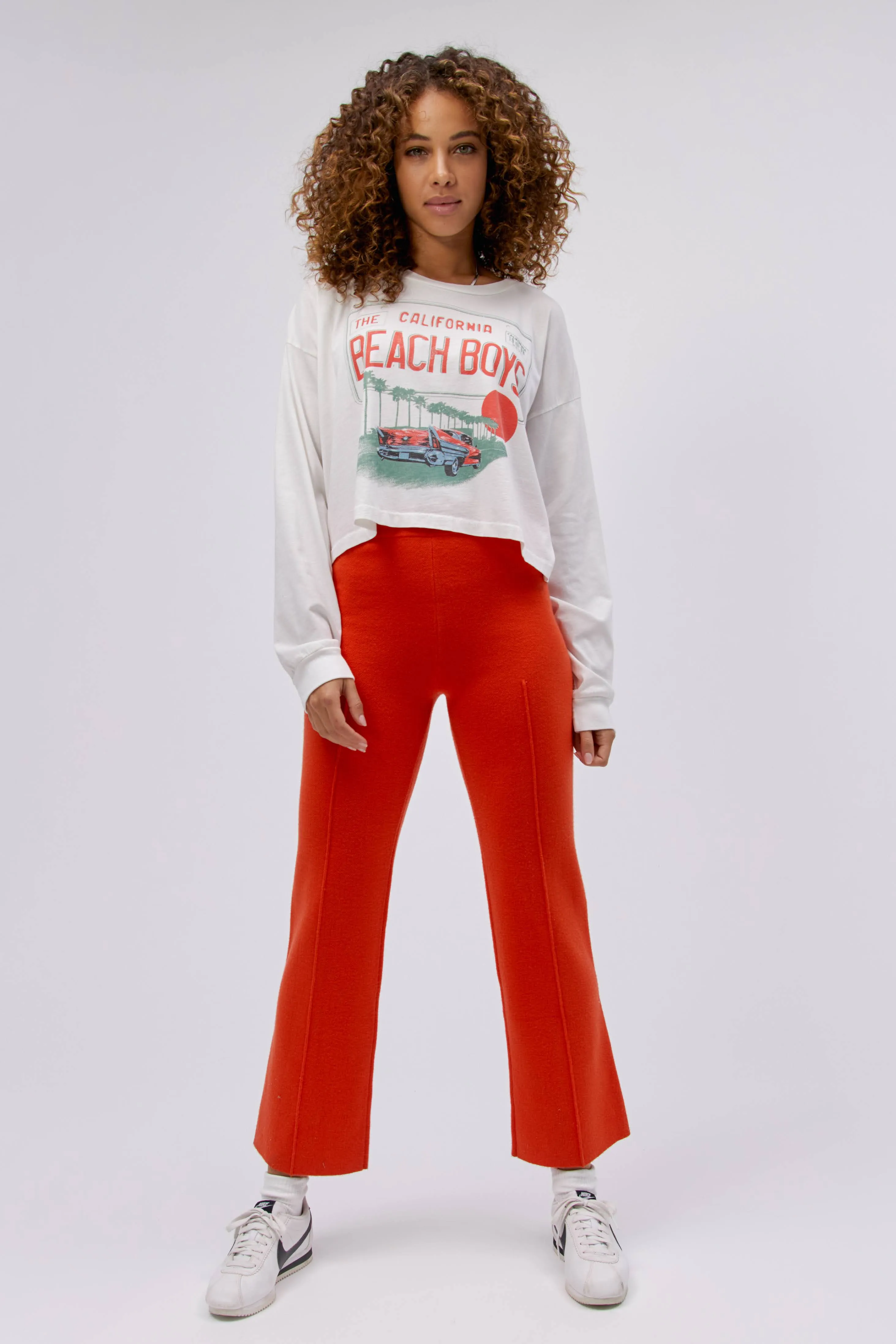 The Beach Boys License Plate Crop LS Merch