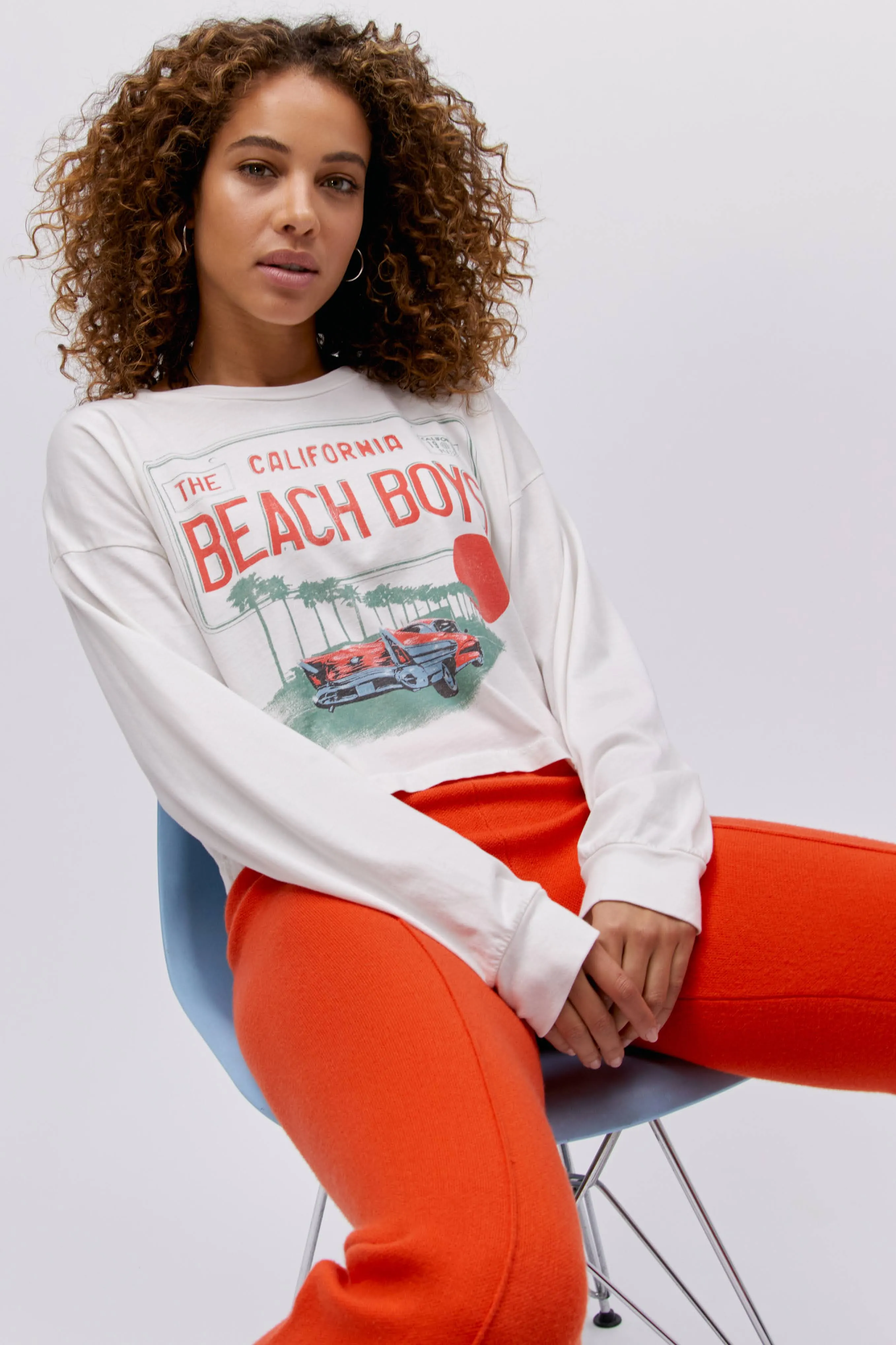 The Beach Boys License Plate Crop LS Merch